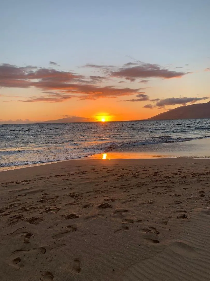 Ferienhaus Villa Hale Kamaole 207 Wailea